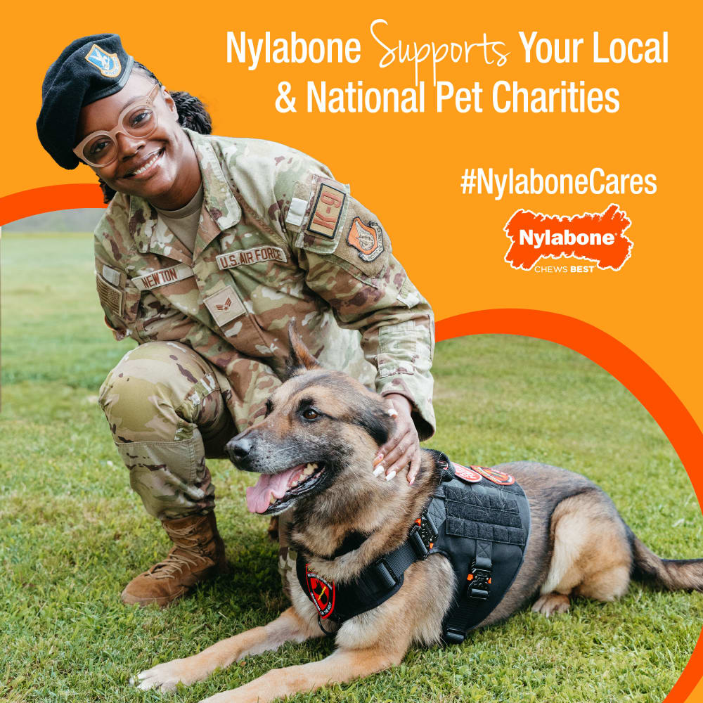 Nylabone Healthy Edibles Puppy Starter Kit (Bacon, Roast Beef, Turkey & Apple) 3Ct Card Petite Edible