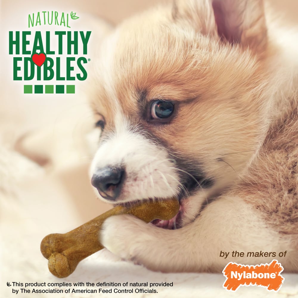 Nylabone Healthy Edibles Puppy Starter Kit (Bacon, Roast Beef, Turkey & Apple) 3Ct Card Petite Edible