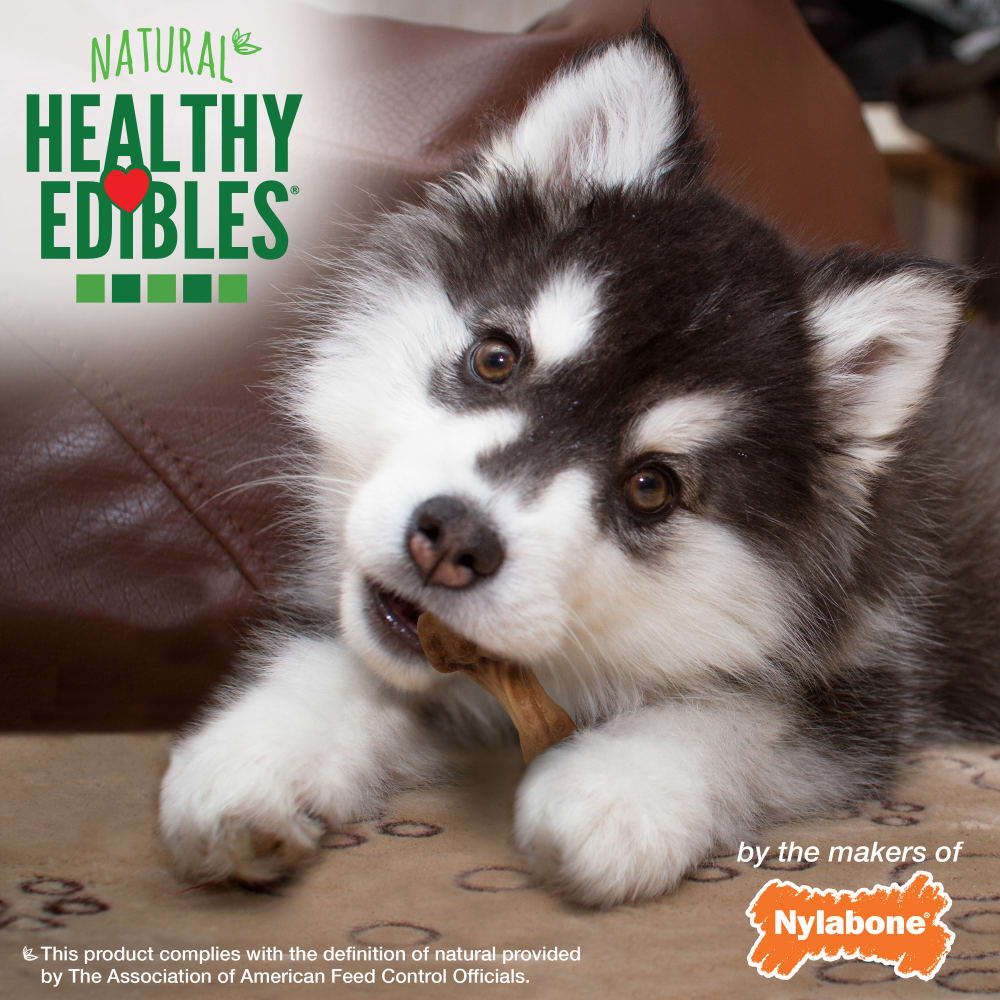 Nylabone Healthy Edibles Wild Puppy Turkey 4Ct  Regular Edible Treats