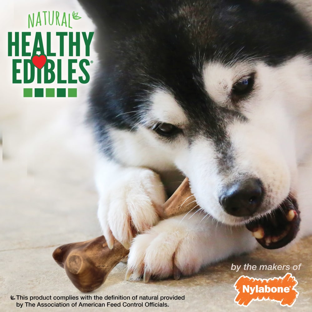 Nylabone Healthy Edibles Wild Venison 1Ct Card Large Edible Treats
