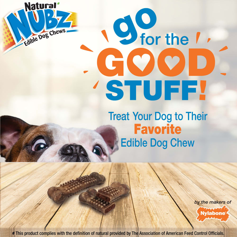 Nylabone Nubz Beef With Meaty Center 2Ct Card (In Shelf Tray)  (April 2023)  Large Edible Treats