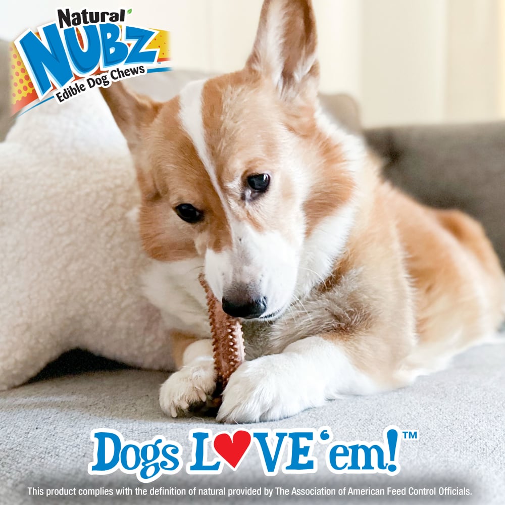 Nylabone Nubz Beef With Meaty Center 2Ct Card (In Shelf Tray)  (April 2023)  Large Edible Treats