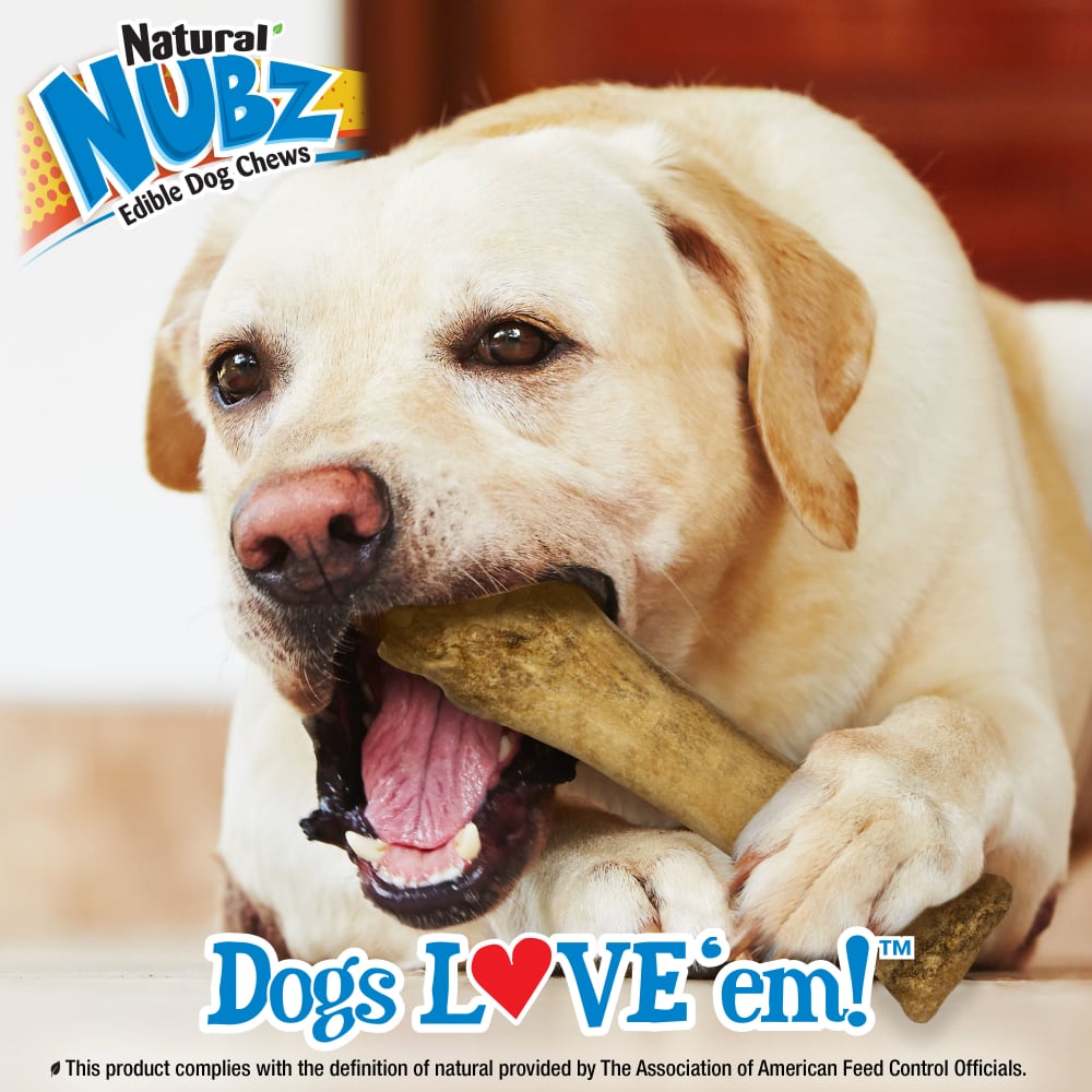 Nylabone Nubz Chicken 1Ct Card (In Shelf Tray) Xl Edible Treats