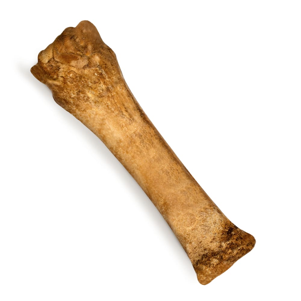 Nylabone Nubz Chicken 1Ct Card (In Shelf Tray) Xl Edible Treats