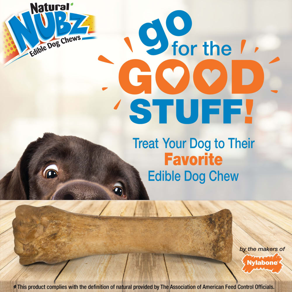 Nylabone Nubz Chicken 1Ct Card (In Shelf Tray) Xl Edible Treats