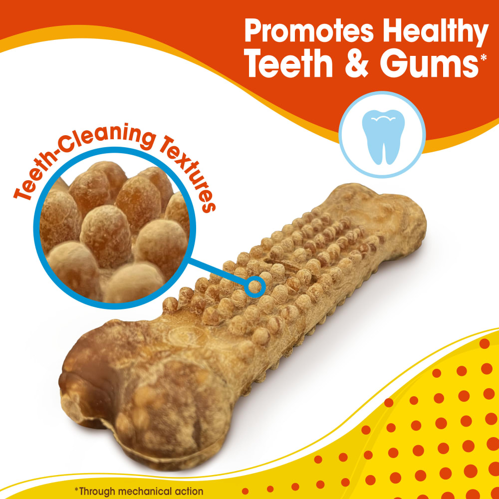 Nylabone Nubz Chicken 2Ct Card (In Shelf Tray) Large Edible Treats