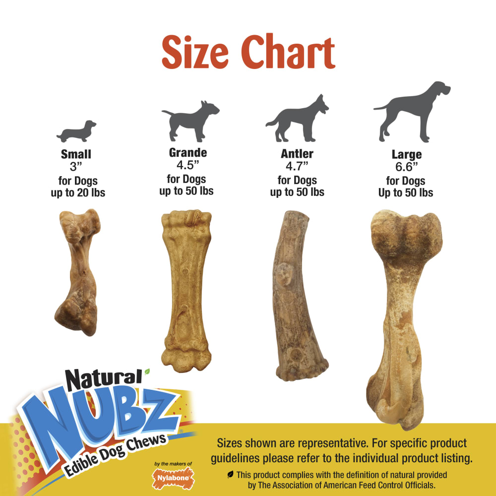 Nylabone Nubz Ham With Bone Broth 1Ct Card (In Shelf Tray) Giant Edible Treats