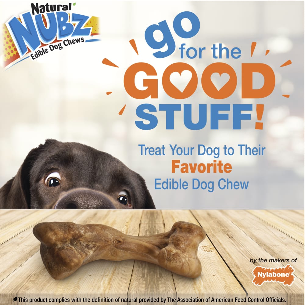 Nylabone Nubz Ham With Bone Broth 1Ct Card (In Shelf Tray) Giant Edible Treats
