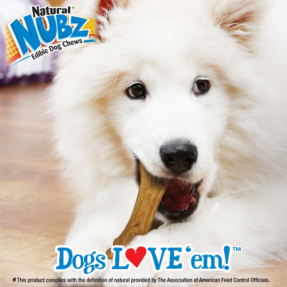 Nylabone Nubz Peanut Butter 2Ct Card (Not In Shelf Tray) Grande Edible Treats