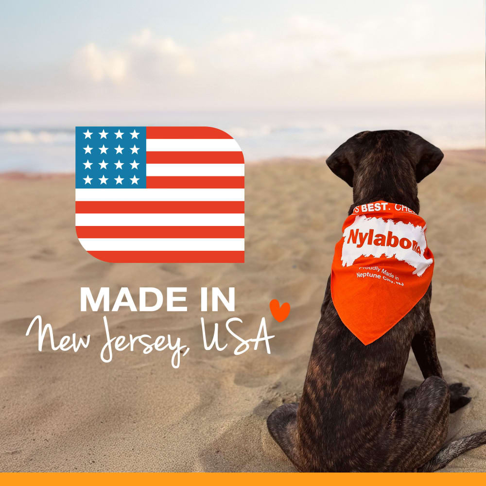 Nylabone Nubz Peanut Butter 2Ct Card (Not In Shelf Tray) Grande Edible Treats