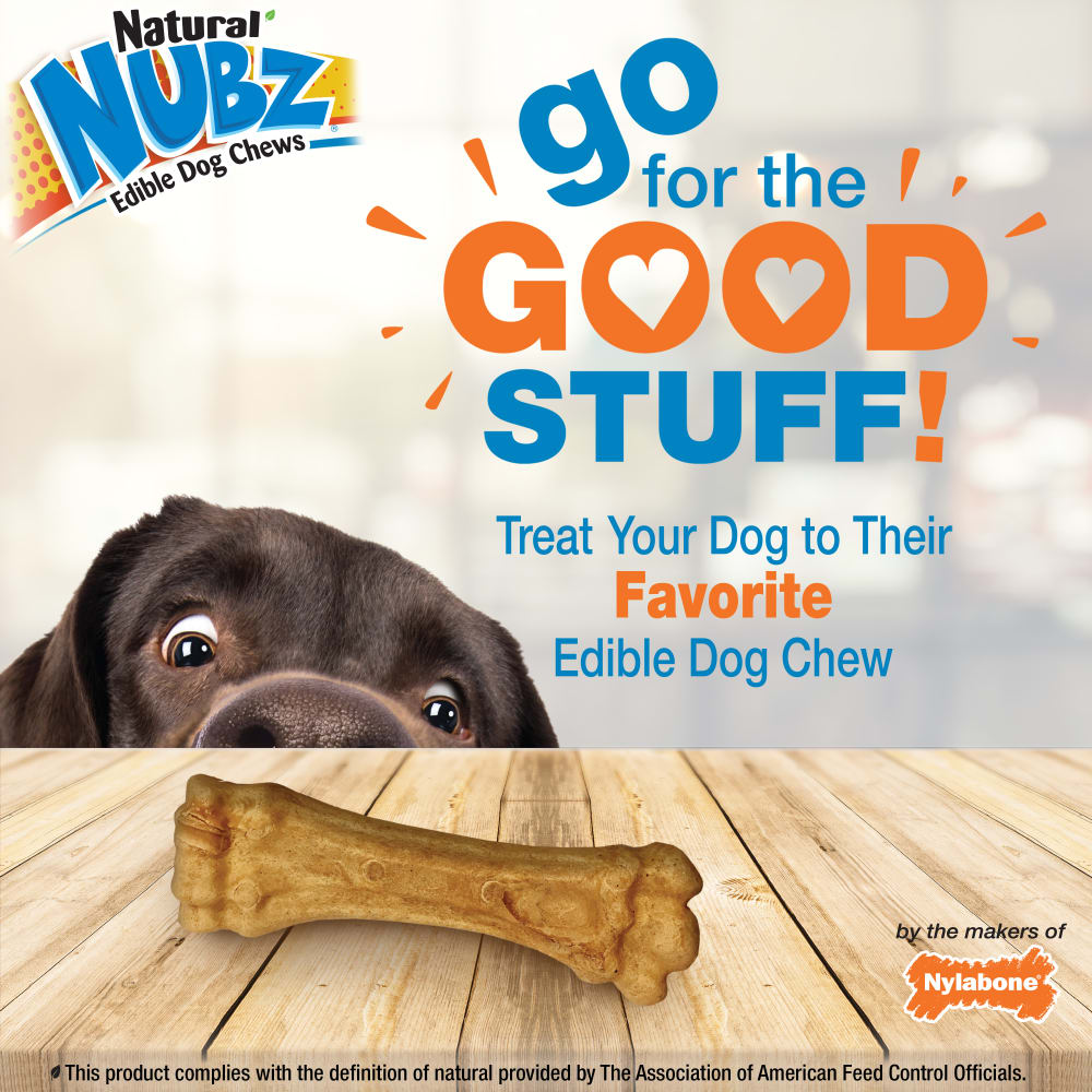 Nylabone Nubz Peanut Butter 2Ct Card (Not In Shelf Tray) Grande Edible Treats