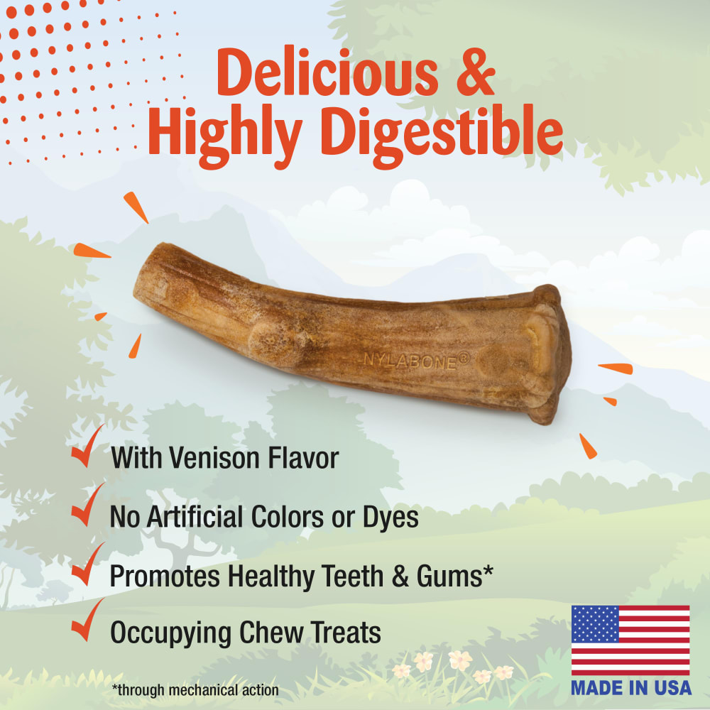 Nylabone Nubz Wild Antler Venison 2Ct Card Medium Edible Treats