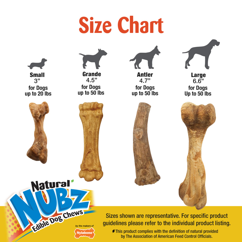 Nylabone Nubz Wild Antler Venison 2Ct Card Medium Edible Treats