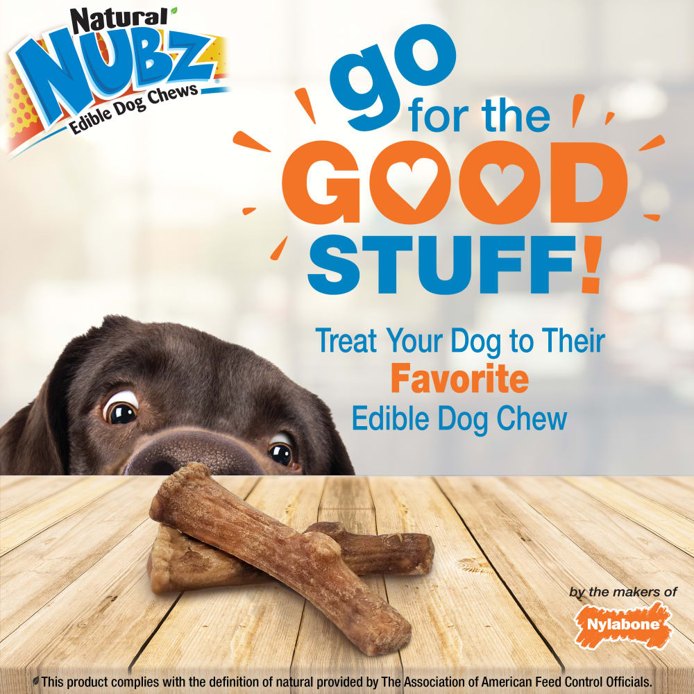 Nylabone Nubz Wild Antler Venison 2Ct Card Medium Edible Treats