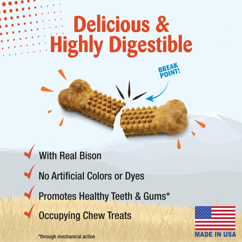 Nylabone Nubz Wild Bison 2Ct Card Jumbo Edible Treats