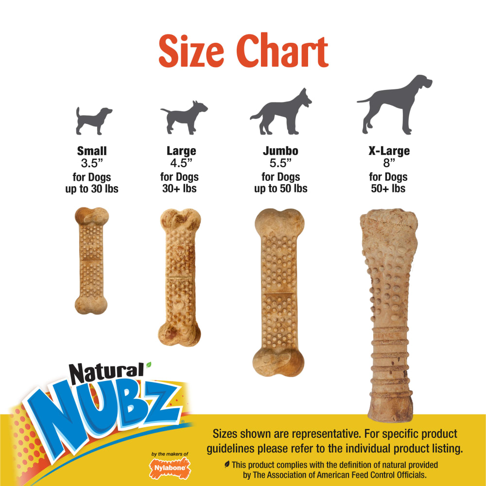 Nylabone Nubz Wild Bison 2Ct Card Jumbo Edible Treats