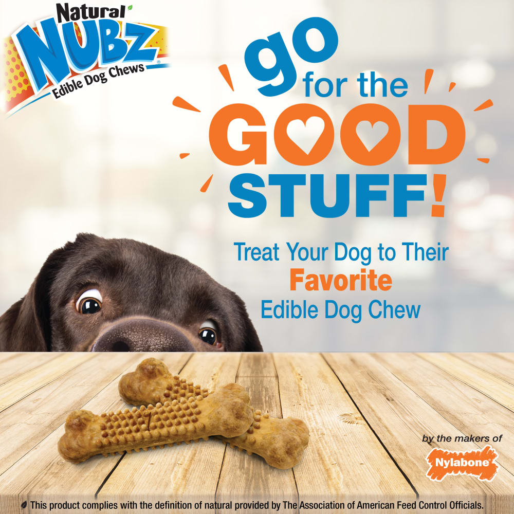 Nylabone Nubz Wild Bison 2Ct Card Jumbo Edible Treats