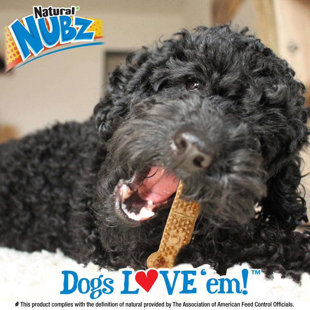 Nylabone Nubz Wild Bison 2Ct Card Jumbo Edible Treats