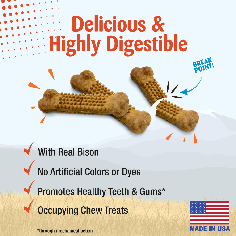 Nylabone Nubz Wild Bison 4Ct Card Small Edible Treats