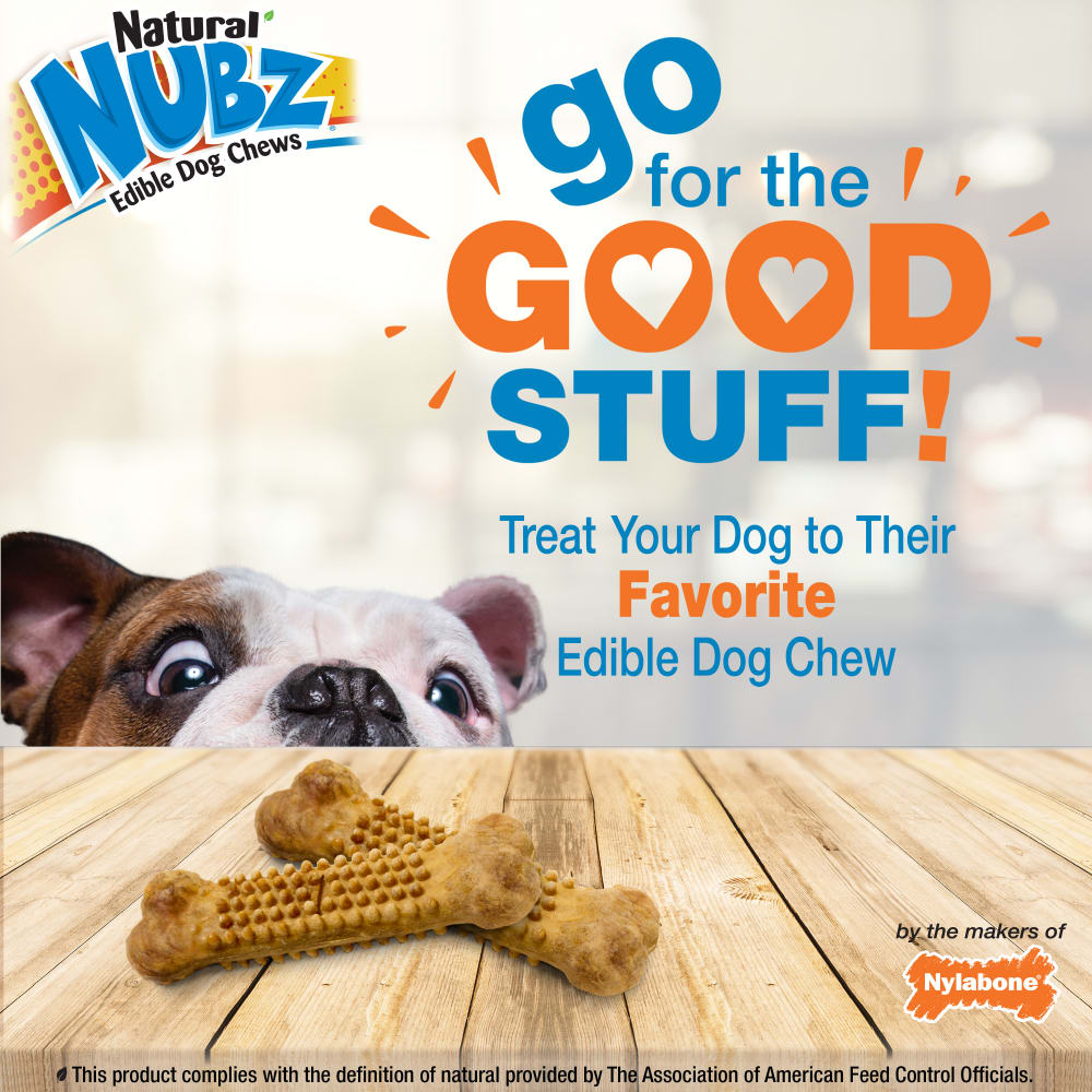 Nylabone Nubz Wild Bison 4Ct Card Small Edible Treats