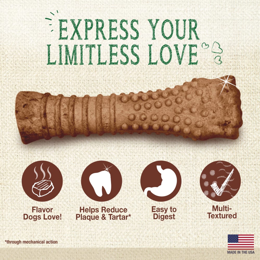 Nylabone Nutri Dent Filet Mignon Textured Souper 1Ct Card Souper Edible Treats