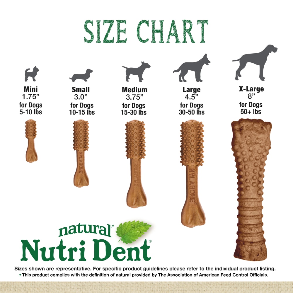 Nylabone Nutri Dent Filet Mignon Textured Souper 1Ct Card Souper Edible Treats