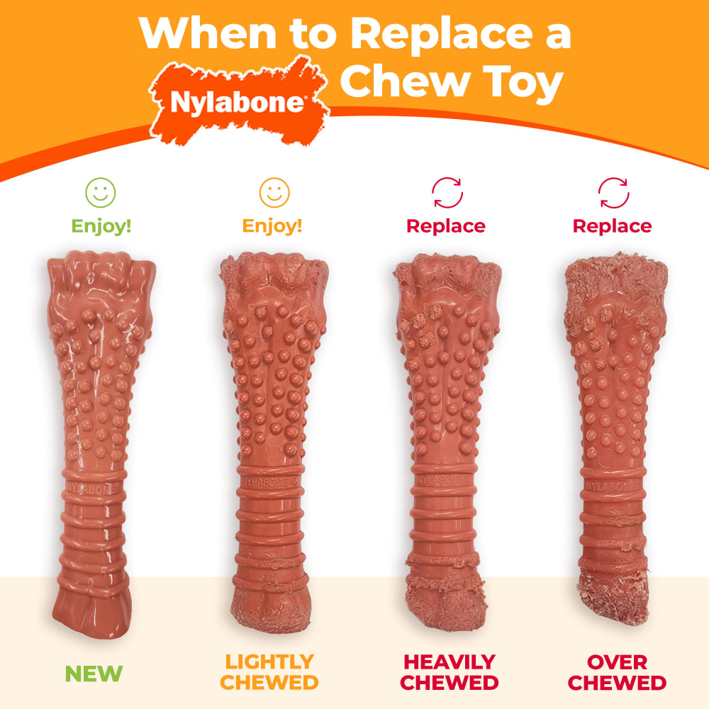 Nylabone Power Chew Barbell, Peanut Butter Giant/Souper Nylon Chews