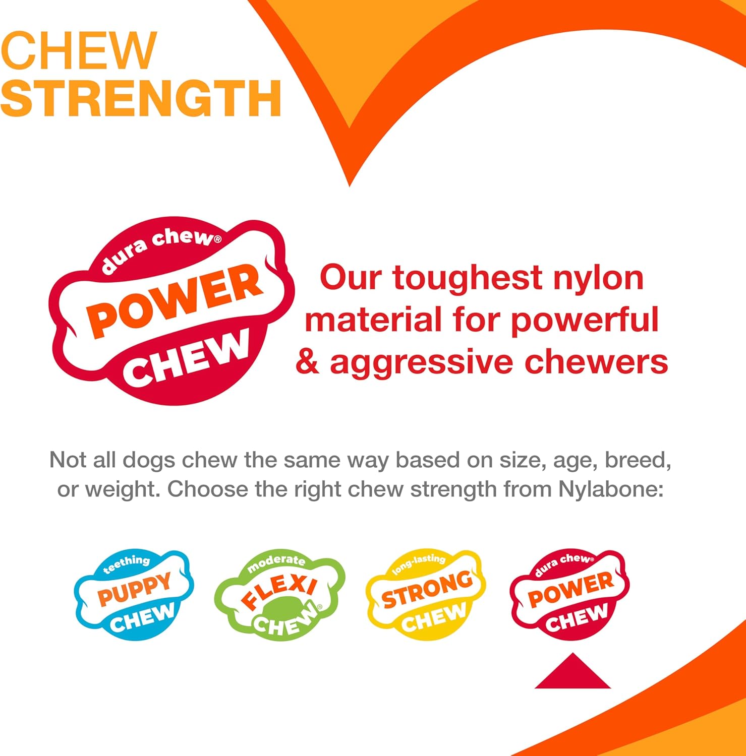 Nylabone Power Chew Bone, Chicken Petite Nylon Chews Toy