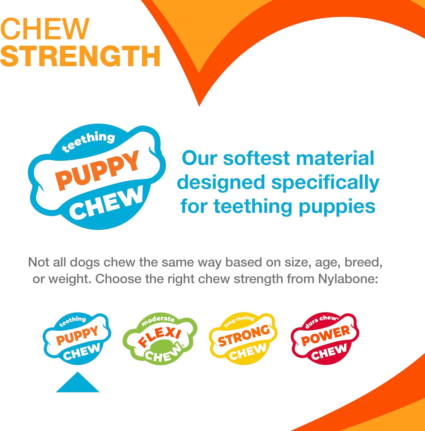 Nylabone Puppy Chew Color-Changing Freezer Bone, Lamb & Apple Regular Nylon Chews Toy