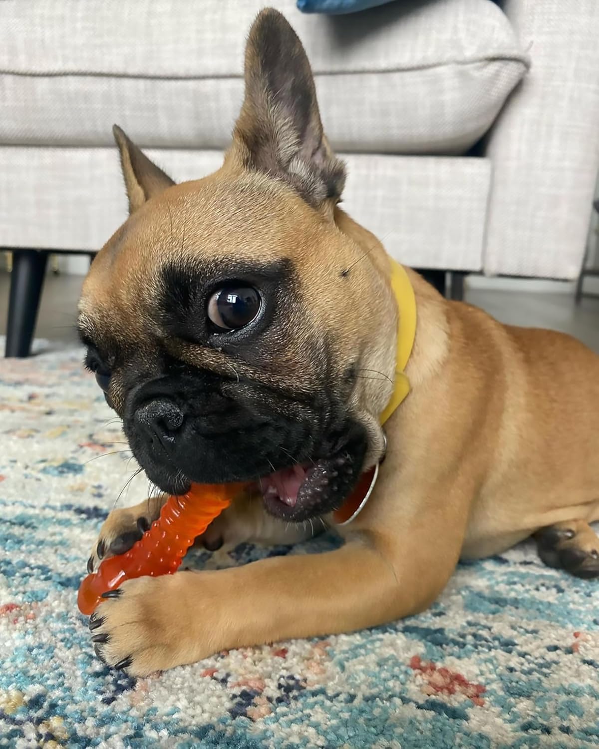 Nylabone Puppy Chew Color-Changing Freezer Bone, Lamb & Apple Regular Nylon Chews Toy
