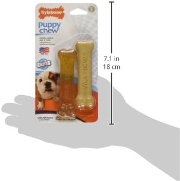Nylabone Puppy Chew & Power Chew Peanut Butter Bone Twin Pack Petite