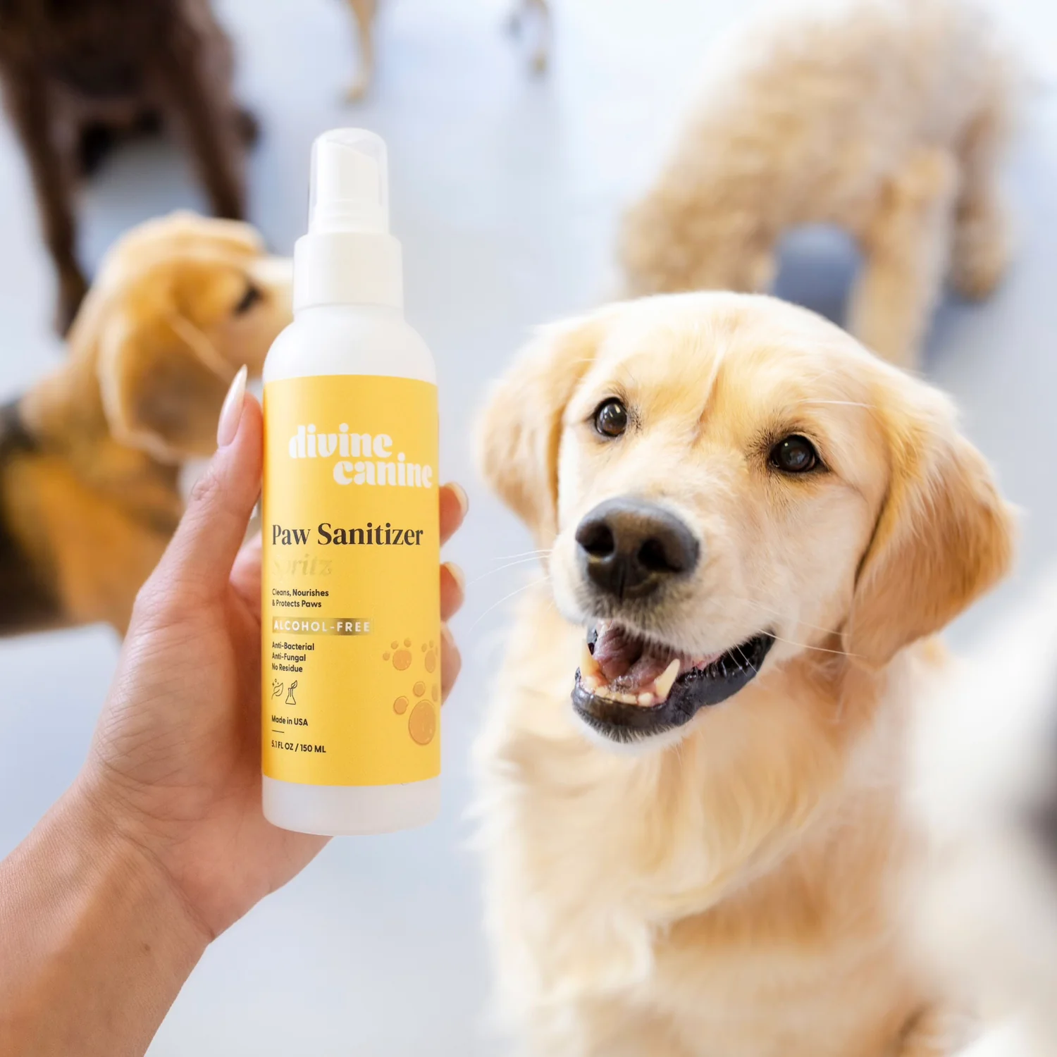 Divine Canine - Paw Sanitizer Spritz - 250g