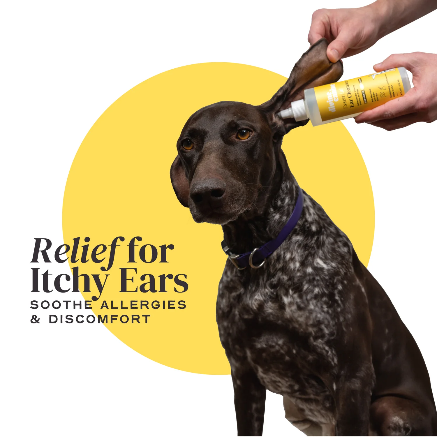 Divine Canine - Essential Ear Cleanser - 4oz - 250 g