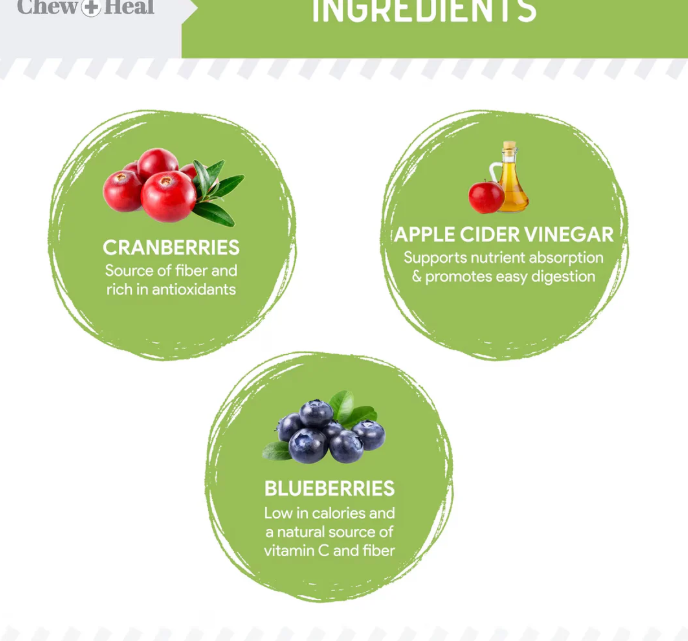 Chew + Heal Limited Ingredient Low Calorie Fruit & Veggie Superfoods Soft Jerky Dog Treats 12 oz