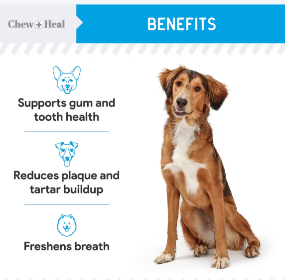 Chew + Heal Advanced Dental Support Powder with 6 Active Ingredients Dental Supplement for Dogs 4 oz