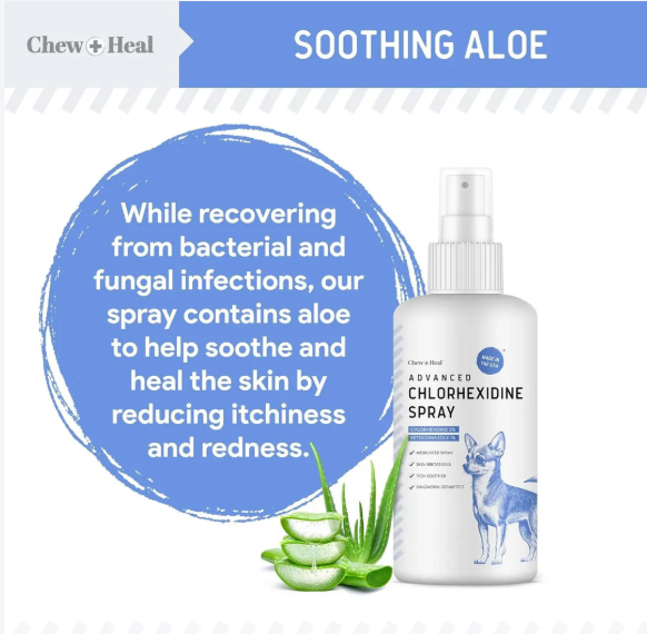 Advanced Chlorhexidine Medicated Wound Care Spray for Dogs 8 oz