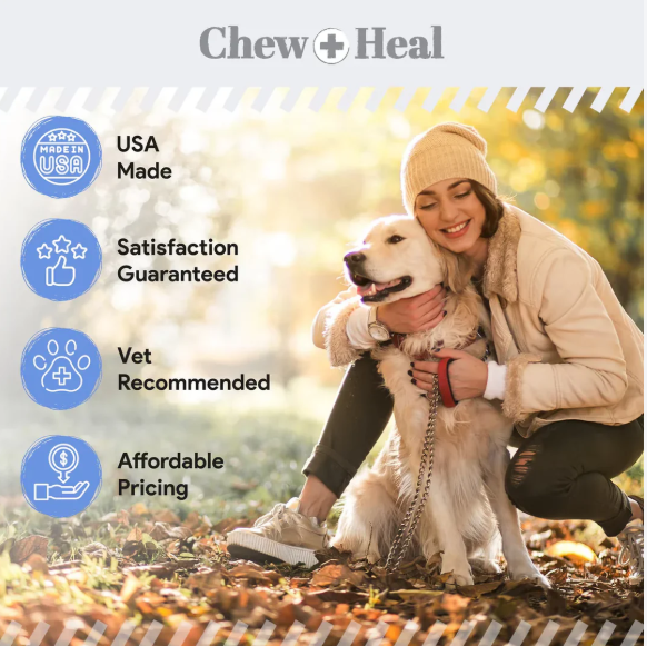 Advanced Chlorhexidine Medicated Wound Care Spray for Dogs 4 oz