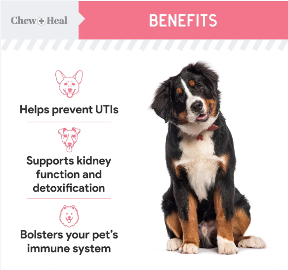 Chew + Heal Urinary + Kidney Tincture Supplement for Dogs, 2-fl oz bottle