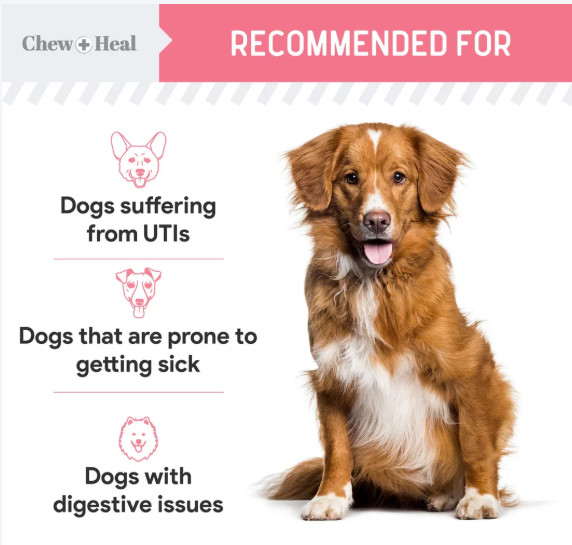 Chew + Heal Urinary + Kidney Tincture Supplement for Dogs, 2-fl oz bottle