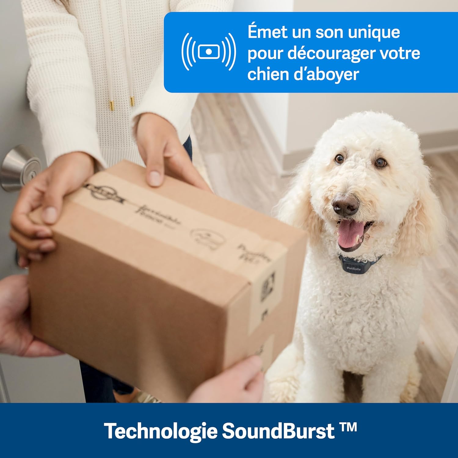 Pet Safe Audible Bark Collar Bark Control