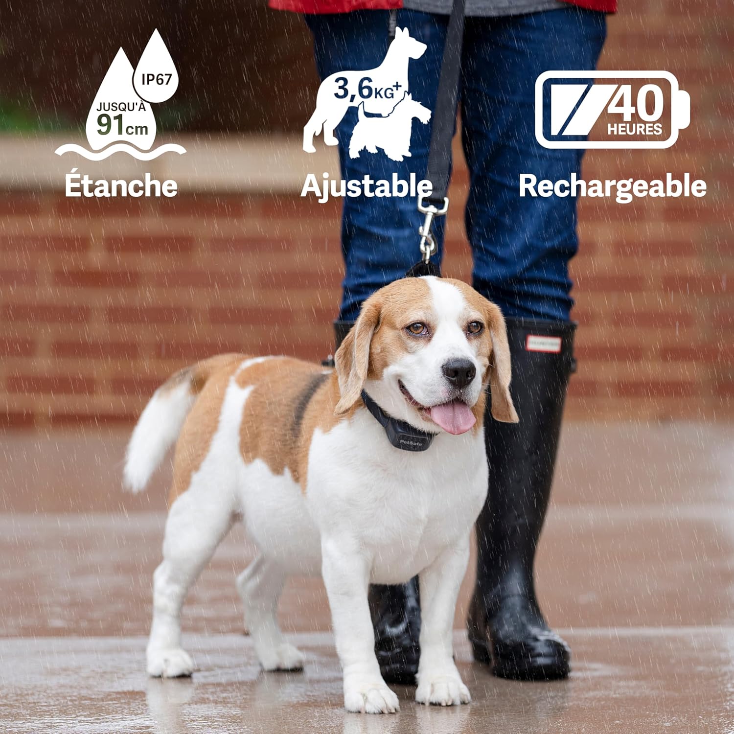 Pet Safe Audible Bark Collar Bark Control