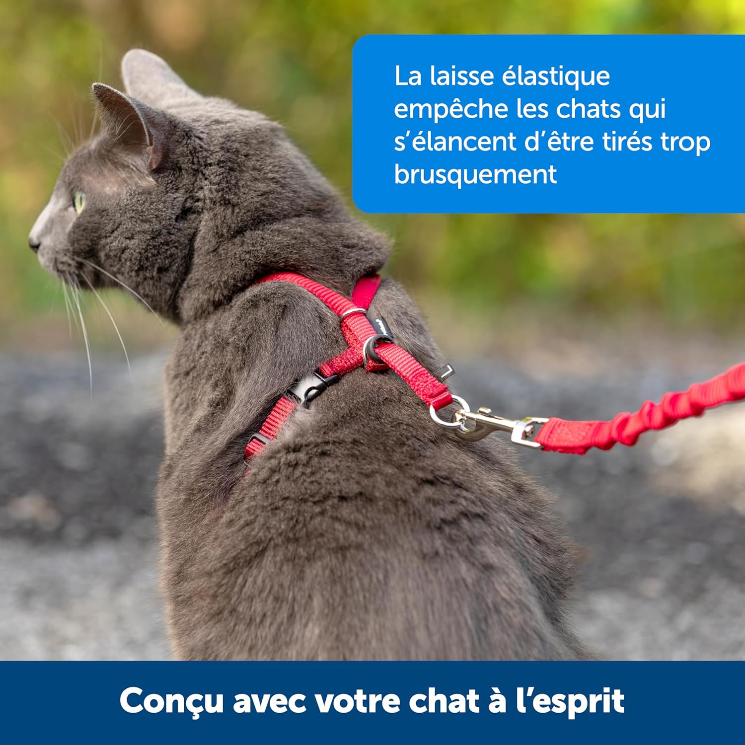 Pet Safe Easy Walk Cat Harness & Lead (Red, Small) Cat Harnesses