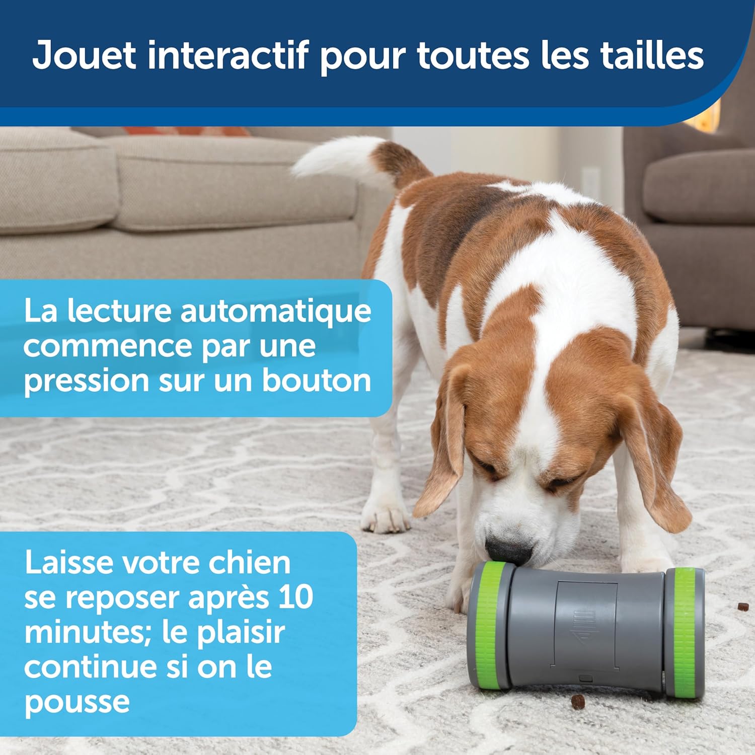 Pet Safe Kibble Chase Roaming Treat Dispenser Electronic Dog Toys