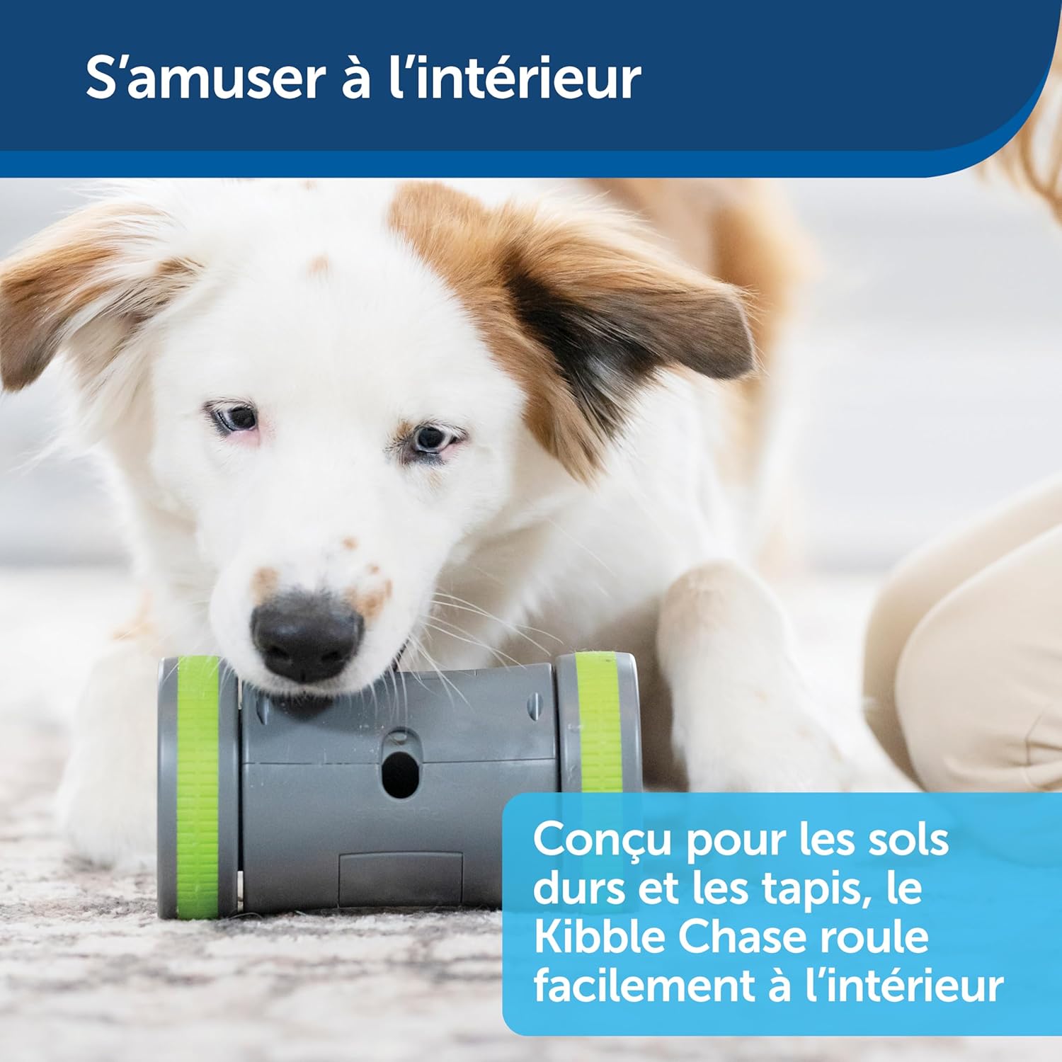 Pet Safe Kibble Chase Roaming Treat Dispenser Electronic Dog Toys