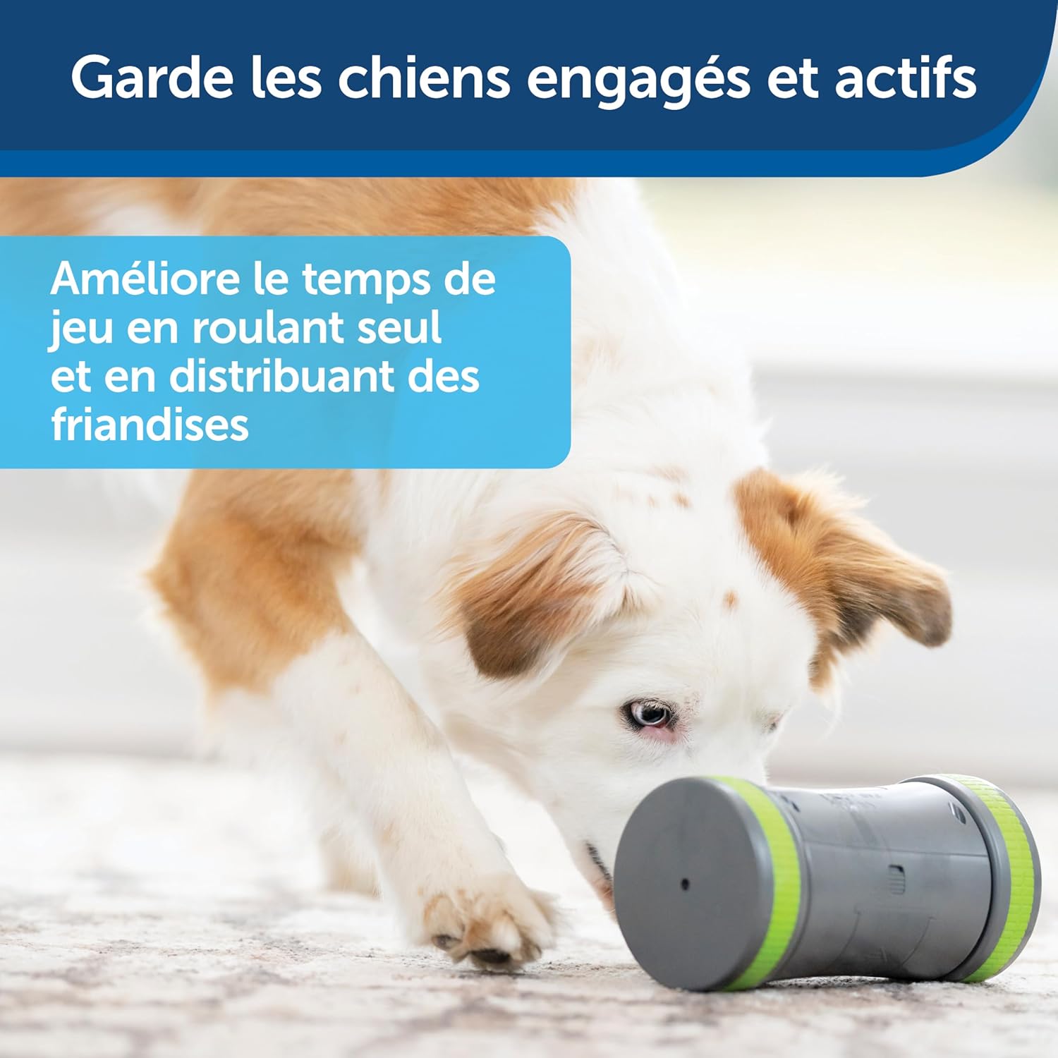 Pet Safe Kibble Chase Roaming Treat Dispenser Electronic Dog Toys