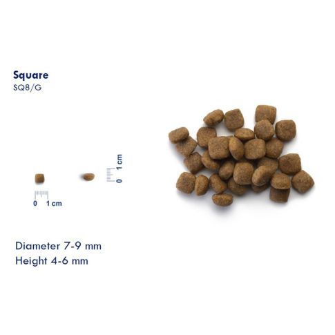 Probiotic live cat adult neutered dry food Fish - 2kg
