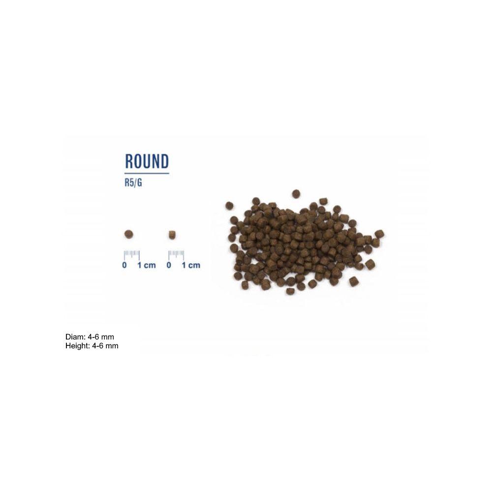 Probiotic live kitten chicken - 2Kg