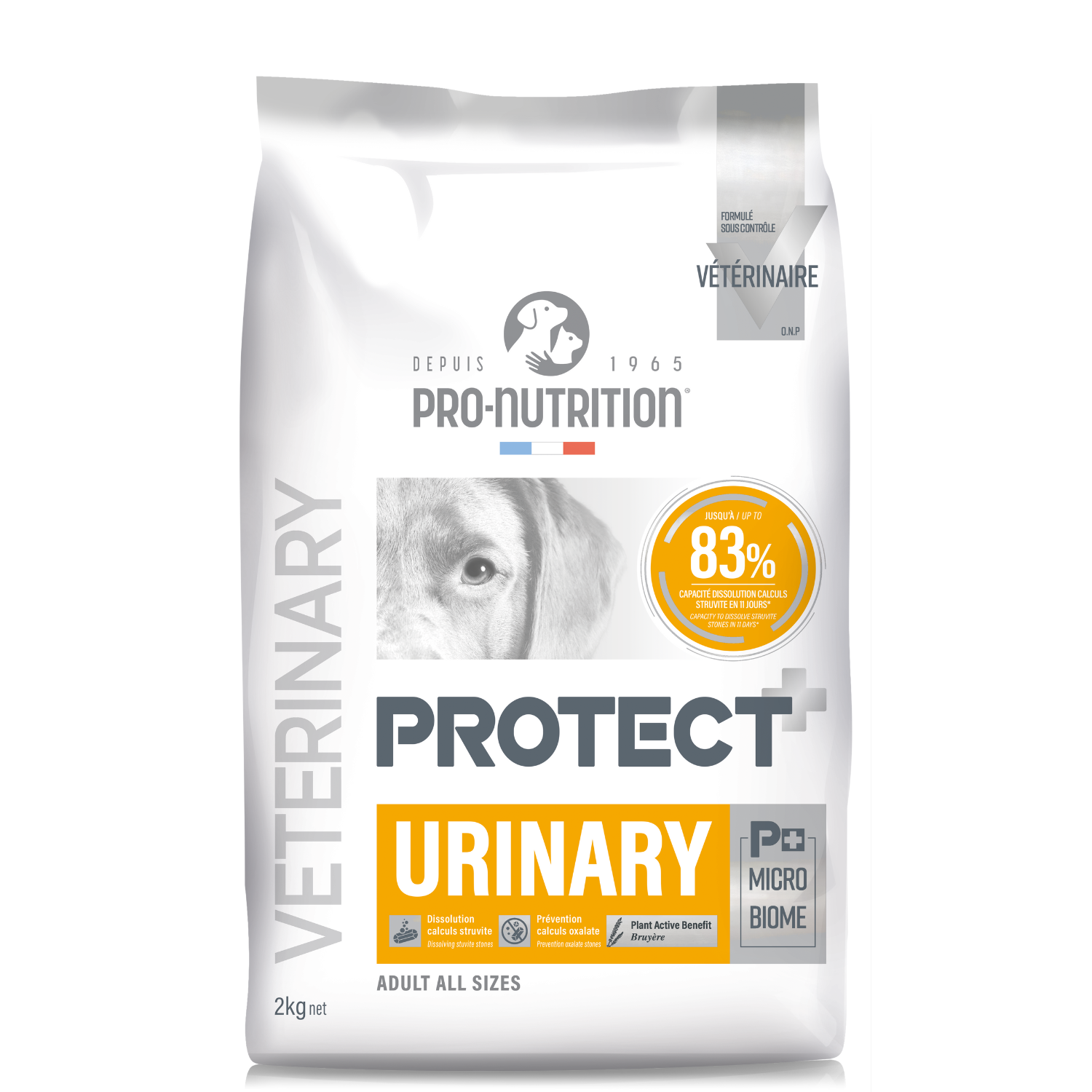 Pro Nutrition Protect Urinary Dog Dry Food 2 Kg