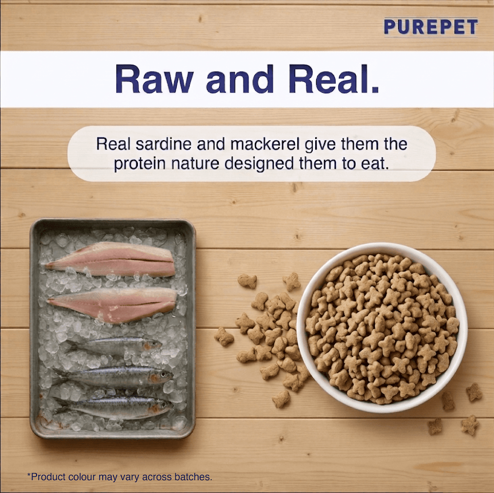 Purepet Cat Adult Ocean Fish 3kg