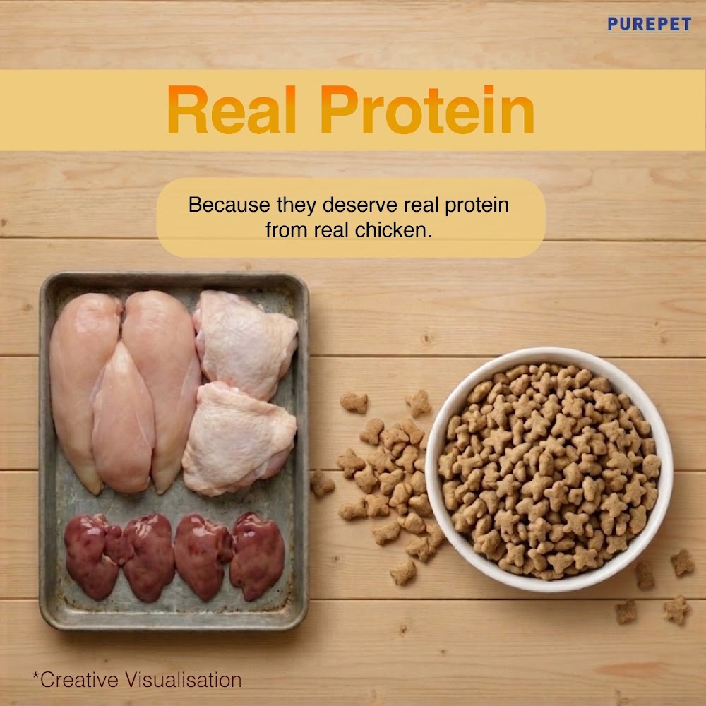 Purepet Cat Adult Real Chicken 7kg